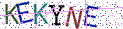 Type the letters shown in the picture