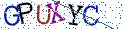 Type the letters shown in the picture