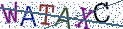 Type the letters shown in the picture