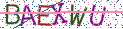 Type the letters shown in the picture