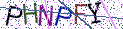 Type the letters shown in the picture