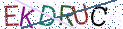 Type the letters shown in the picture