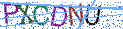 Type the letters shown in the picture
