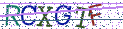 Type the letters shown in the picture