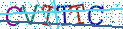 Type the letters shown in the picture