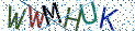 Type the letters shown in the picture