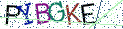 Type the letters shown in the picture