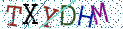 Type the letters shown in the picture