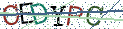 Type the letters shown in the picture
