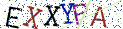Type the letters shown in the picture