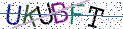 Type the letters shown in the picture