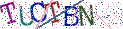 Type the letters shown in the picture