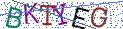 Type the letters shown in the picture