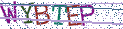 Type the letters shown in the picture