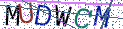 Type the letters shown in the picture