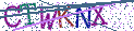 Type the letters shown in the picture