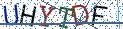 Type the letters shown in the picture