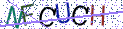 Type the letters shown in the picture