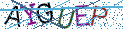 Type the letters shown in the picture
