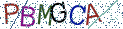 Type the letters shown in the picture