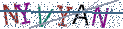 Type the letters shown in the picture