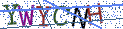 Type the letters shown in the picture