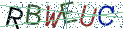 Type the letters shown in the picture