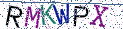 Type the letters shown in the picture