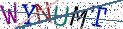 Type the letters shown in the picture