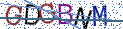 Type the letters shown in the picture