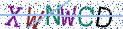 Type the letters shown in the picture