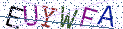 Type the letters shown in the picture