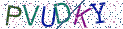 Type the letters shown in the picture