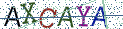 Type the letters shown in the picture