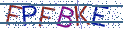Type the letters shown in the picture
