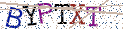 Type the letters shown in the picture