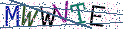 Type the letters shown in the picture