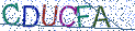 Type the letters shown in the picture