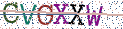 Type the letters shown in the picture