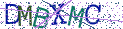 Type the letters shown in the picture