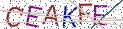 Type the letters shown in the picture