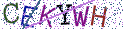 Type the letters shown in the picture
