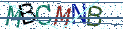Type the letters shown in the picture