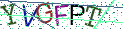 Type the letters shown in the picture