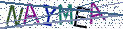 Type the letters shown in the picture