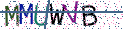 Type the letters shown in the picture