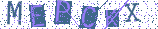 Type the letters shown in the picture