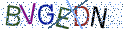 Type the letters shown in the picture