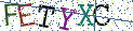 Type the letters shown in the picture