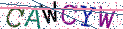 Type the letters shown in the picture